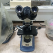 آزمایشگاه تحقیقاتی بیوتکنولوژی- میکروسکوپ نوری
